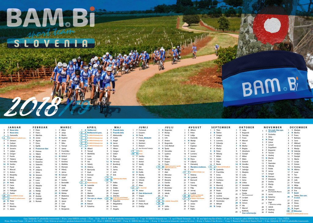 2017 Koledar stenski enostranski 2018 L1701567